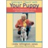 Getting In Ttouch With Your Puppy
