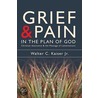 Grief And Pain In The Plan Of God by Walter Kaiser