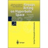 Groups Acting On Hyperbolic Space door Jens L. Mennicke
