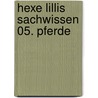 Hexe Lillis Sachwissen 05. Pferde door Knister