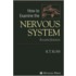 How To Examine The Nervous System