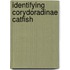 Identifying Corydoradinae Catfish