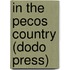 In the Pecos Country (Dodo Press)