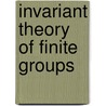 Invariant Theory Of Finite Groups door Mara Neusel