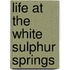 Life At The White Sulphur Springs