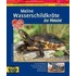Meine Wasserschildkröte zu Hause