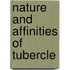 Nature and Affinities of Tubercle