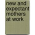 New And Expectant Mothers At Work
