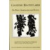 On Poetic Imagination And Reverie