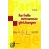 Partielle Differentialgleichungen