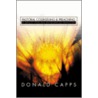 Pastoral Counseling and Preaching by Professor Donald Capps