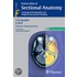 Pocket Atlas Of Sectional Anatomy