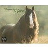 Romancing the Horse 2011 Calendar door Onbekend