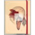Skrwl Triptych Journal Collection
