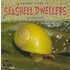 Secret Lives of Seashell Dwellers