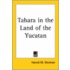 Tahara In The Land Of The Yucatan