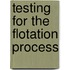 Testing For The Flotation Process