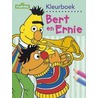 Kleurboek Bert en Ernie pakket 2x door Onbekend