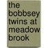 The Bobbsey Twins At Meadow Brook