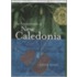 The Fundamentals Of New Caledonia