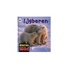 IJsberen