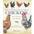 The Illustrated Guide To Chickens