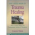 The Little Book of Trauma Healing