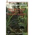 The Missing 'Gator of Gumbo Limbo