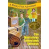 The Mysterious Jamestown Suitcase door Linda G. Salisbury