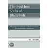 The Soul-Less Souls Of Black Folk by Paul MoCombe