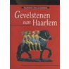 Gevelstenen van Haarlem door Theo Bottelier