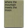 Where The Mountain Meets The Moon door Grace Lin