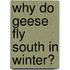 Why Do Geese Fly South in Winter?