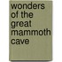 Wonders Of The Great Mammoth Cave