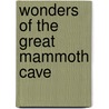 Wonders Of The Great Mammoth Cave door James William Turner