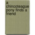 A Chincoteague Pony Finds A Friend