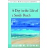 A Day in the Life of a Sandy Beach door William M. Stephens