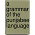 A Grammar Of The Punjabee Language