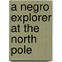A Negro Explorer At The North Pole
