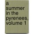 A Summer In The Pyrenees, Volume 1