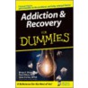 Addiction And Recovery For Dummies door Paul Ritvo