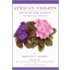 African Violets Back To The Basics
