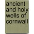Ancient And Holy Wells Of Cornwall