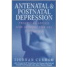 Antenatal And Postnatal Depression door Siobhan Curham