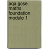 Aqa Gcse Maths Foundation Module 1 door Onbekend
