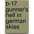 B-17 Gunner's Hell In German Skies