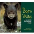 Born Wild in Glacier National Park
