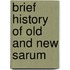 Brief History of Old and New Sarum