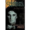 Channeling Morpheus for Scary Mary door Jordan Castillo Price