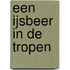 Een ijsbeer in de tropen